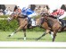  Carrera: P.Jose Antonio Borrego Monta: F.Martínez Caballo: Gelinotte